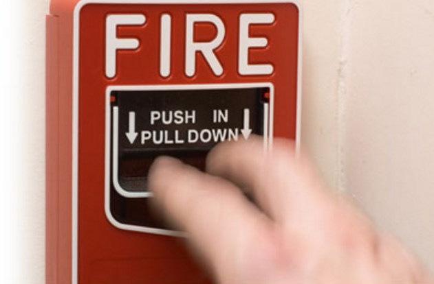 screen-shot-2017-08-08-at-11.56.48-am